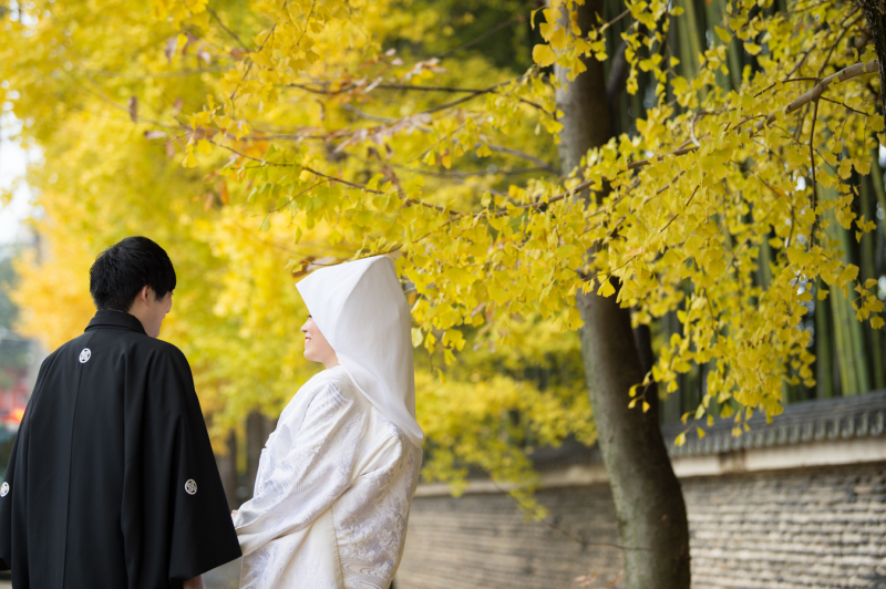 イチョウと紅葉