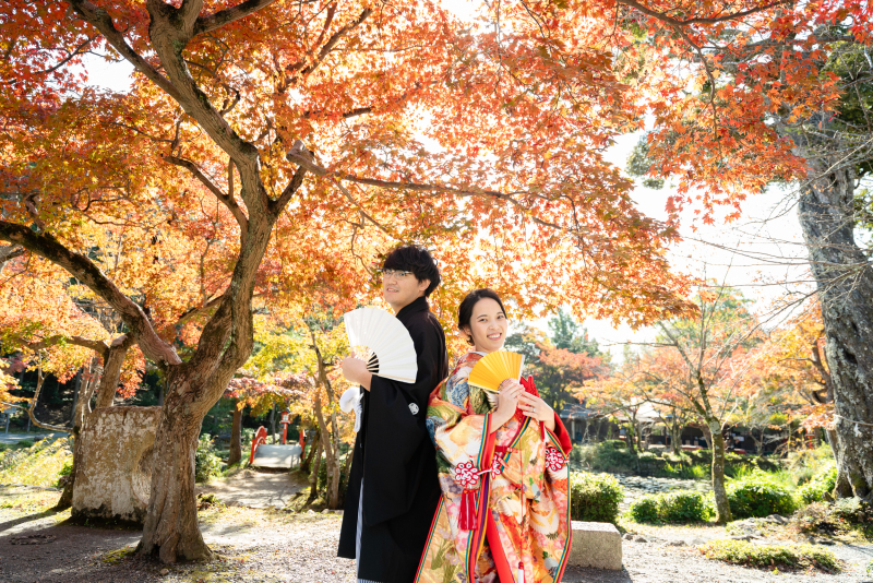 撮影ありがとうございます。