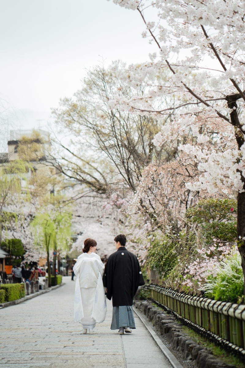 桜を見て歩くおふたり
