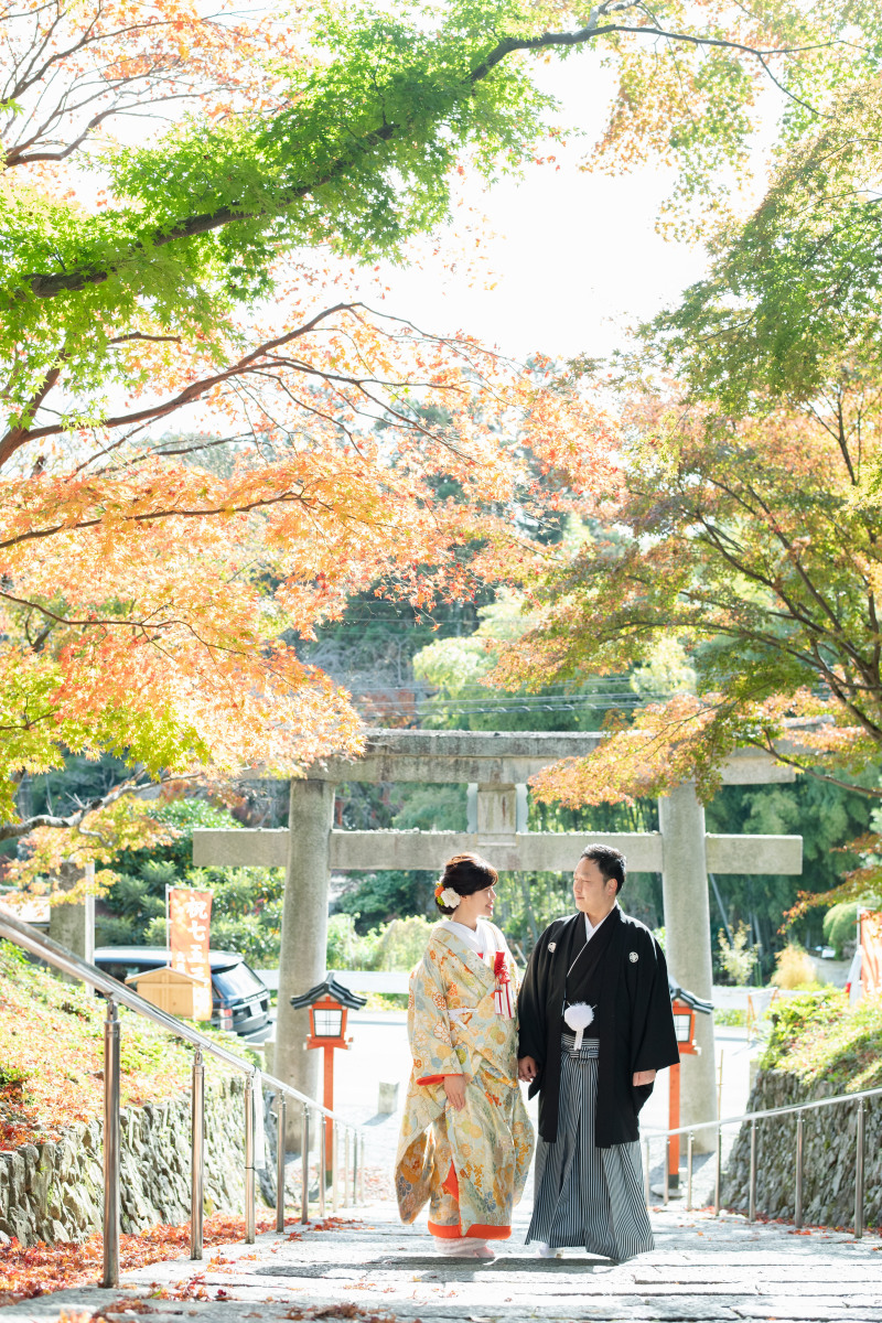 おすすめのロケーション
