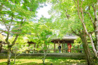 東福寺で前撮り