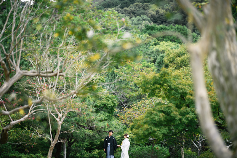 美翔苑について