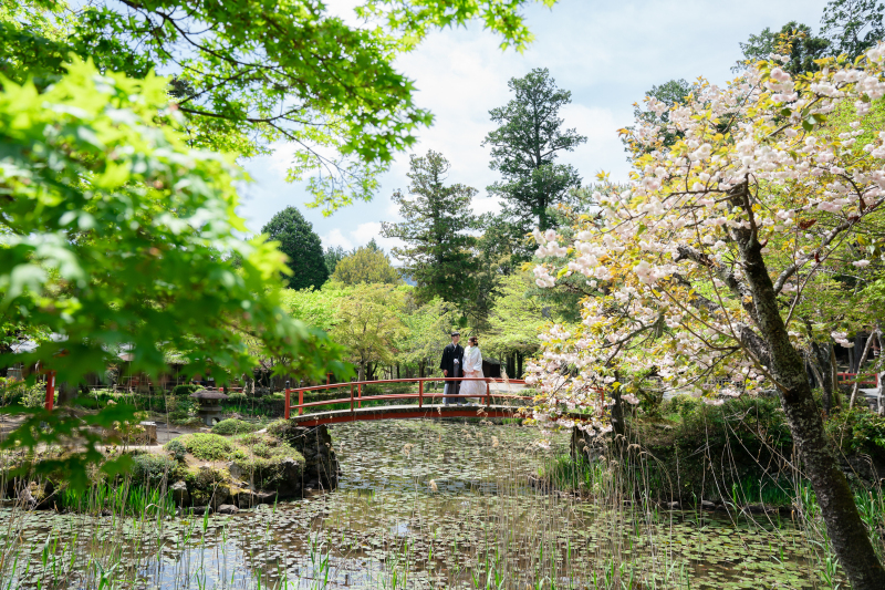 新緑のキレイな大原野神社