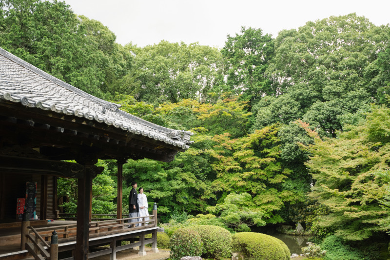 緑が綺麗なロケーション