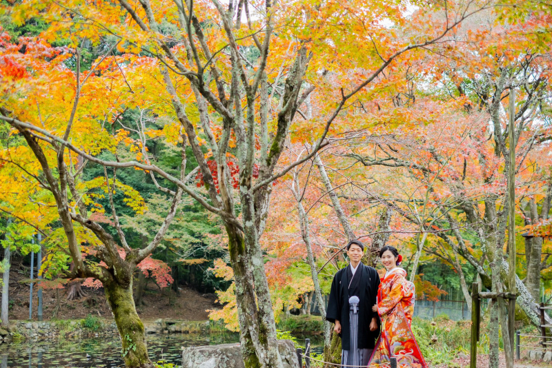 どこを歩いても