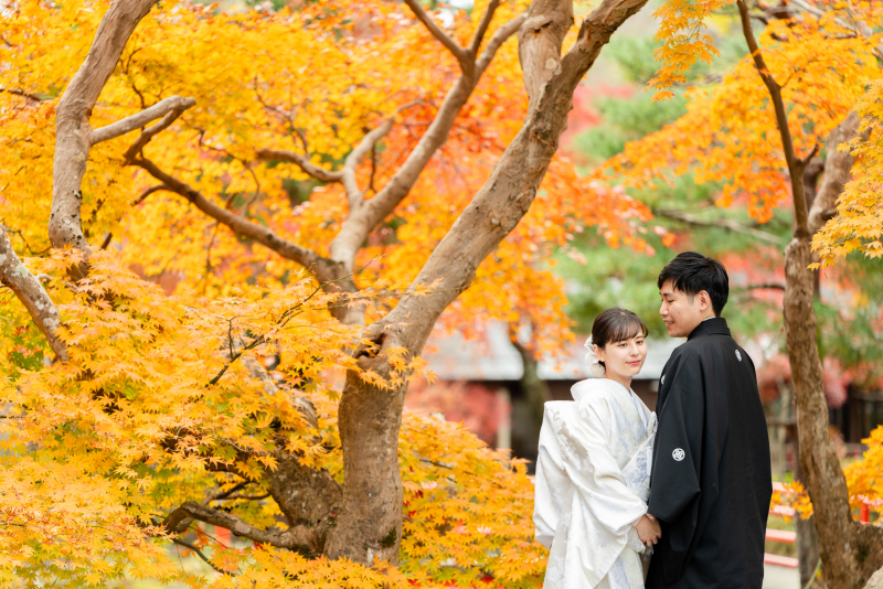 いつまでも撮影したい