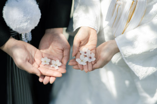 京都の桜ロケーション