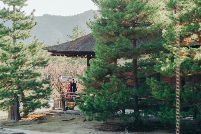 大覚寺で撮影