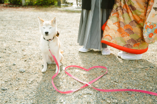 京都 美翔苑（KYOTO BISHOUEN）
