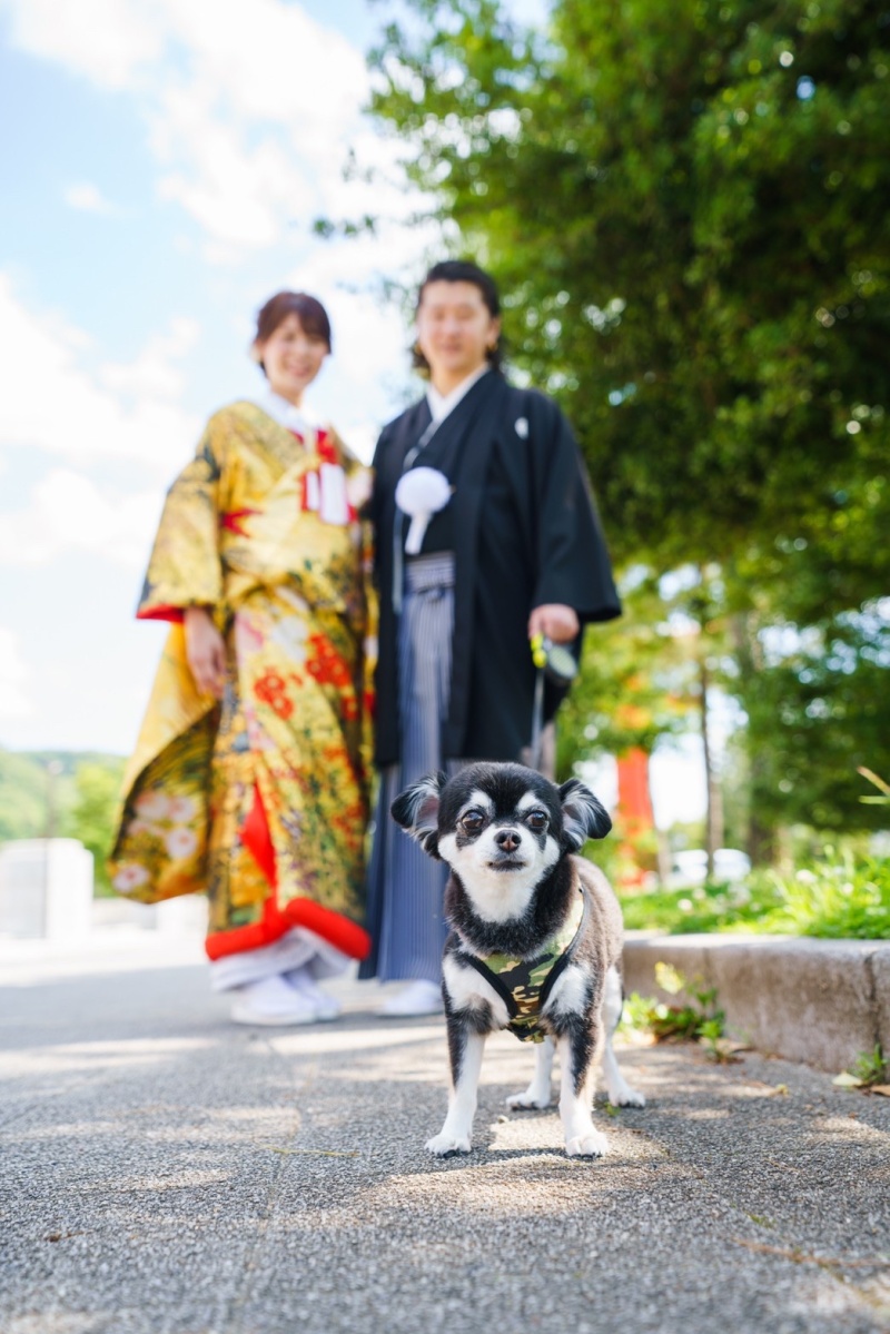 京都 美翔苑（KYOTO BISHOUEN）_ペットと一緒に撮影できる
