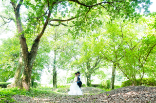 ロケーション：京都府立植物園