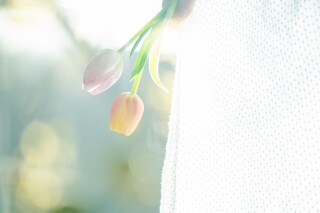 ２０～３０カットデータを先行してお渡し。