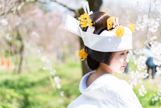 かつら（角隠しスタイル）の利用