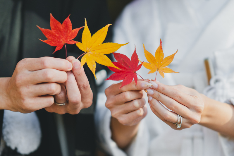 Point1 多彩な撮影シーン