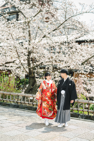 京都 美翔苑(KYOTO BISHOUEN)_桜シーズン(3月後半~4月前半)