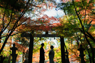 京都 美翔苑（KYOTO BISHOUEN）_紅葉シーズン（10月～12月前半）