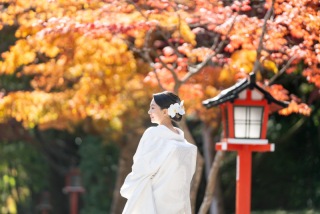 京都 美翔苑（KYOTO BISHOUEN）_紅葉シーズン（10月～12月前半）