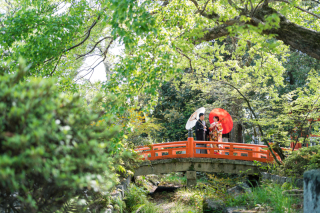日本らしい雰囲気。
