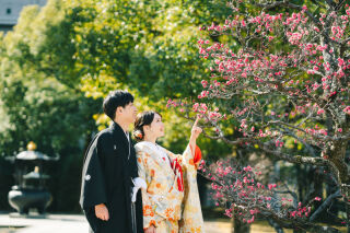 【梅の季節・平日限定】智積院＆祇園プレミアム2着プラン｜編集済データ150カット｜白無垢と色打掛の2着