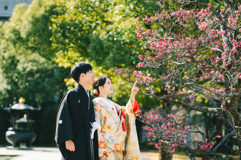 【梅の季節・平日限定】智積院&祇園プレミアム2着プラン|編集済データ150カット|白無垢と色打掛の2着