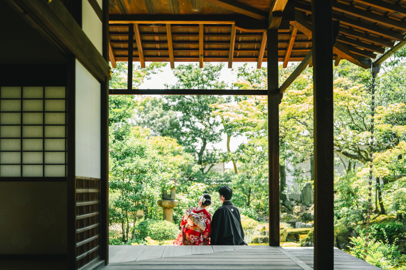 本法寺１着プラン｜全データとプリント２０枚付き