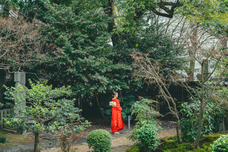 立本寺1着プラン|全データとプリント20枚付き