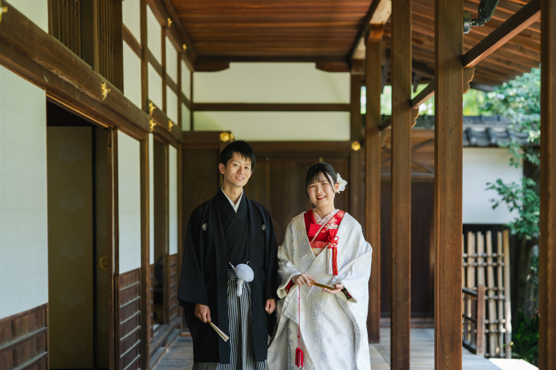 本法寺１着プラン｜全データとプリント２０枚付き