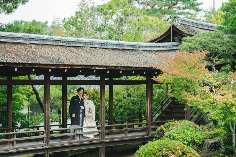 世界遺産「仁和寺」御所庭園と境内1着プラン(プリント20枚・全データ付)