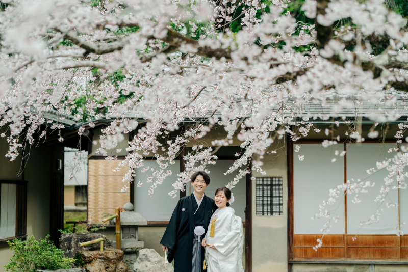 【桜日程限定　4月1日・3日・5日】和装ロケーション1着プラン（洋装も可能）