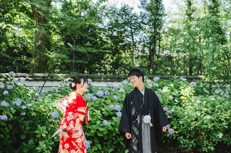 本法寺１着プラン｜全データとプリント２０枚付き