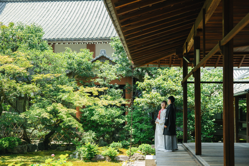本法寺１着プラン｜全データとプリント２０枚付き