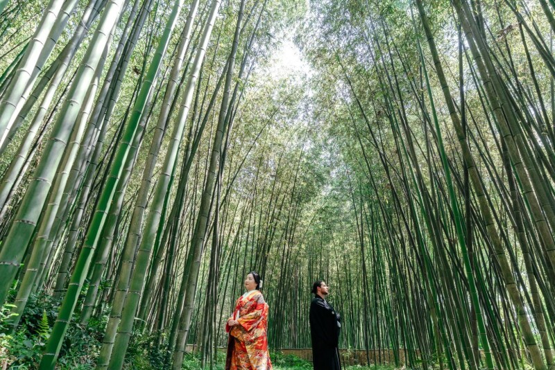 期間限定：新緑の大覚寺2着プラン（4/22～5/31に撮影）｜白無垢と色打掛の2着！全データ編集済付き・寺院代込