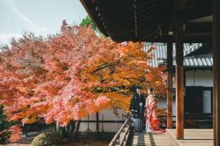 【秋の予約受付開始】秋春の大覚寺１着プラン｜全データとプリント２０枚付き