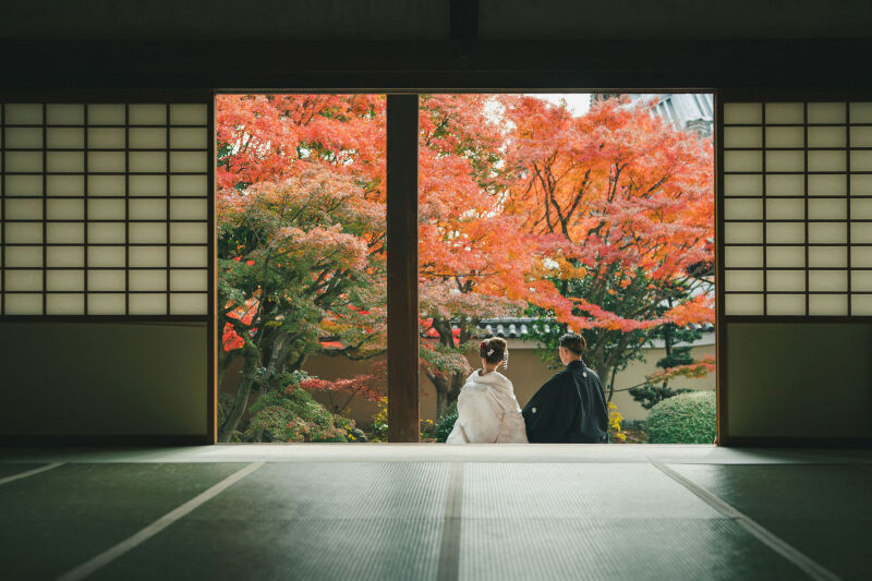 妙顕寺1着プラン(プリント20枚と全データ付き)