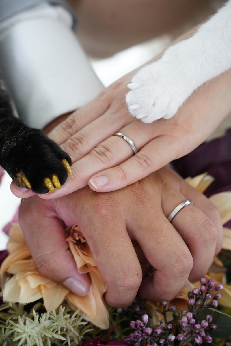 お手元ショット