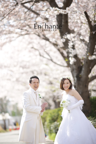 今年も見納め、桜ロケ。