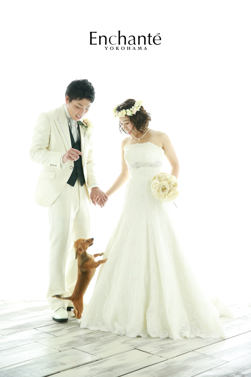 元気いっぱいなわんちゃん