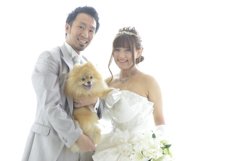 つづけてお出番です!