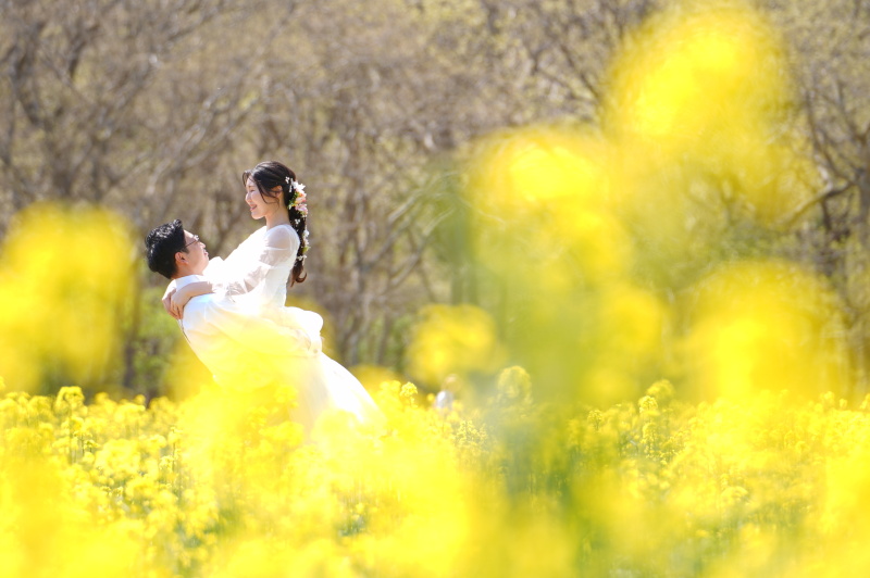菜の花畑に移動