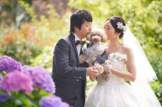 ★港の見える丘公園ロケーションフォト★