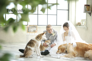 わんちゃんと一緒にフォトウェディング