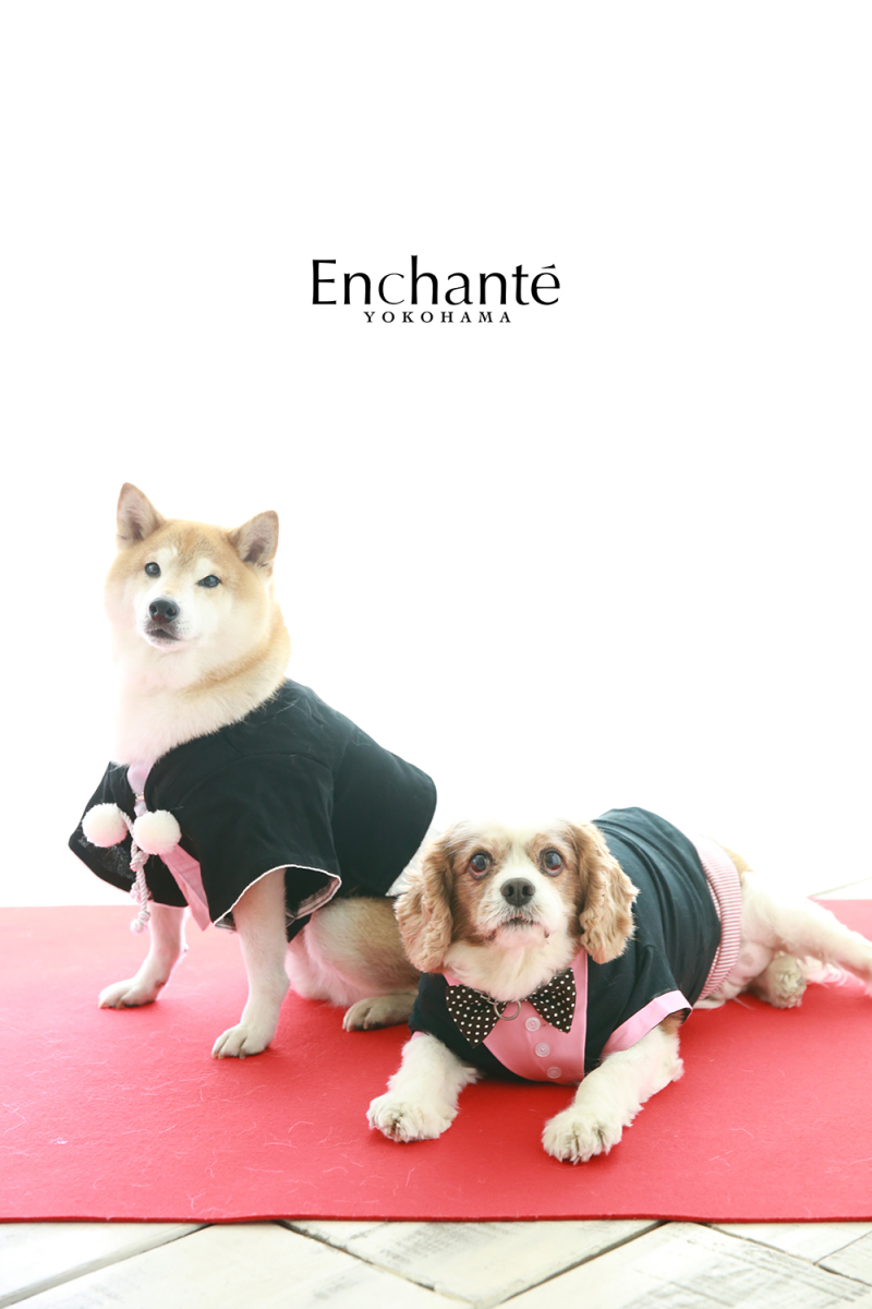 紋服とタキシード