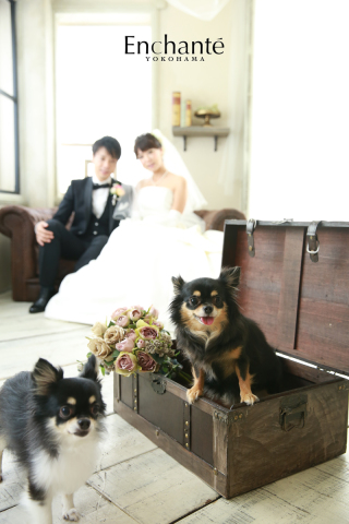 わんちゃんといっしょに洋装フォトウェディング