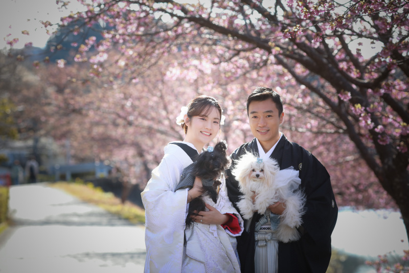 わんちゃんも一緒に