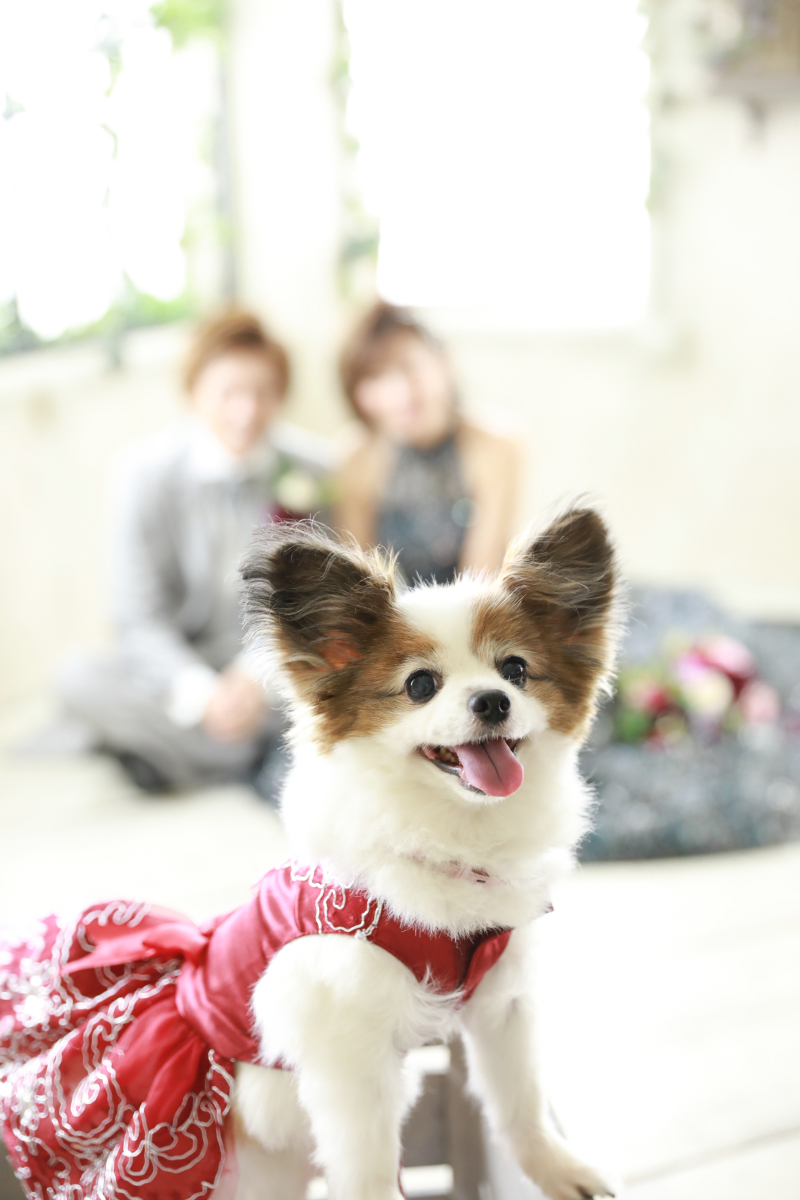 こんなかわいいお写真も~