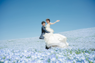 ネモフィラ撮影2024