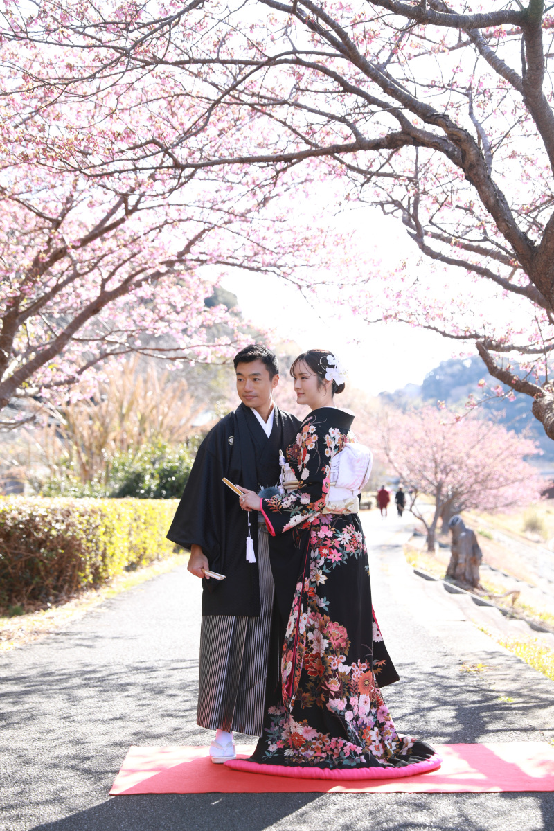 黒引き振袖&【河津桜】