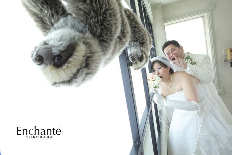 なまけもの！？