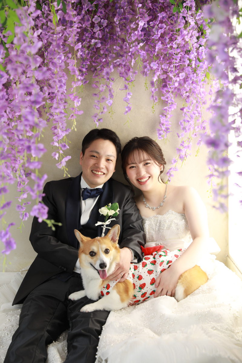 アンシャンテ横浜は衣装のまま【抱っこOK】
