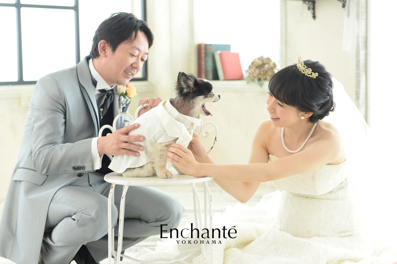 わんちゃんと一緒に写真が撮りたい